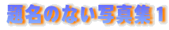 薼̂Ȃʐ^WP