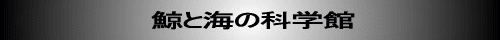 メッセージ