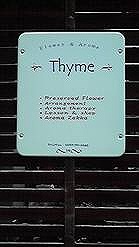thyme2