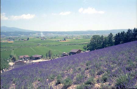 hurano002