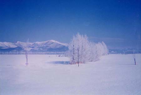 huyu001