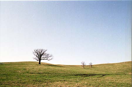 naitai001