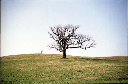 naitai003
