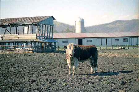 usi002