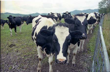 usi003