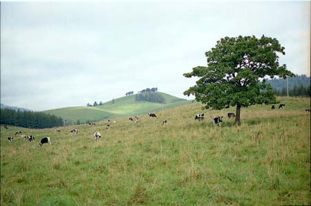 usi004