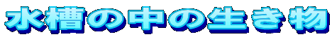 ̒̐ 