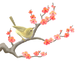 ウグイスと梅