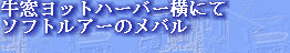 jg4srg_web910-09044004.jpg