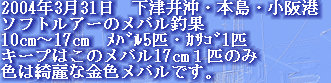 jg4srg_web910-09045001.jpg