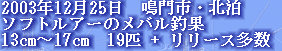 jg4srg_web910-09045007.jpg
