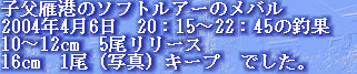 jg4srg_web910-09046008.jpg