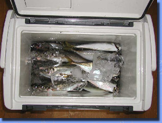 jg4srg_web910-09047005.jpg