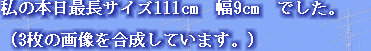 jg4srg_web910-09048002.jpg