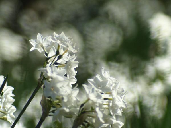 h200119101.jpg