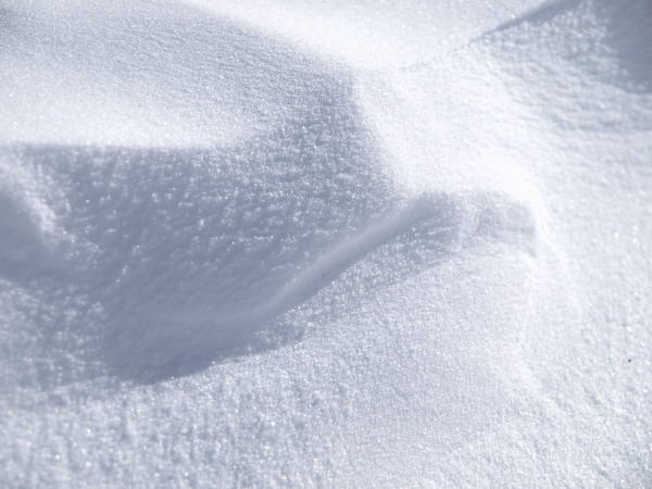 h200126144.jpg