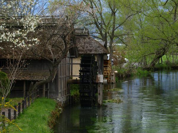 h200419030.jpg