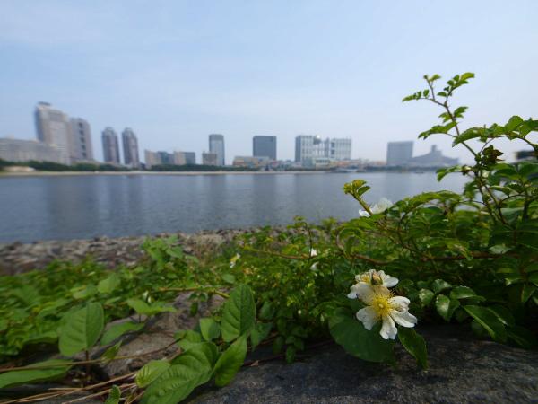 h200706221.jpg