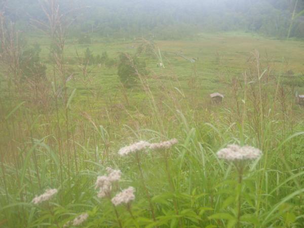h200824192.jpg
