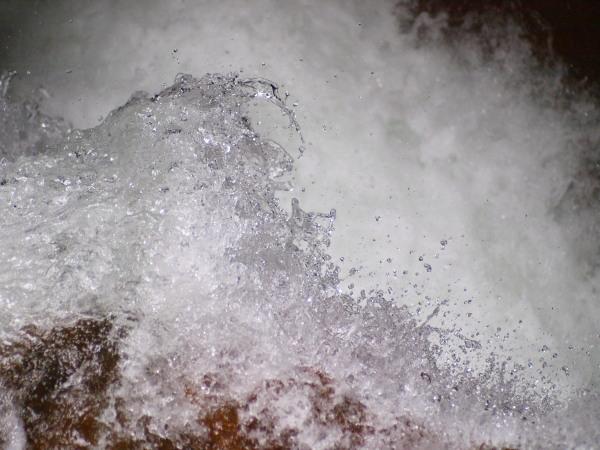 h200825069.jpg