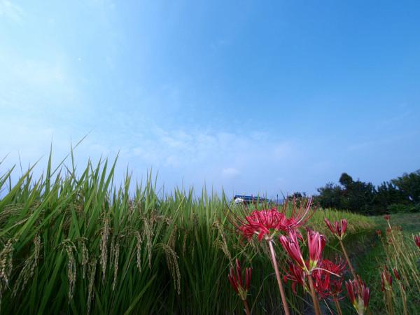 h200917295a.jpg