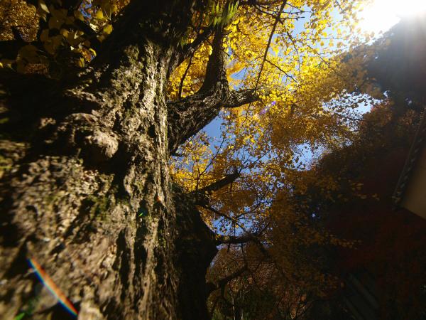 h201122232.jpg