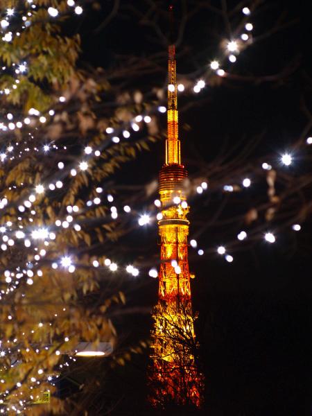 h201206166.jpg