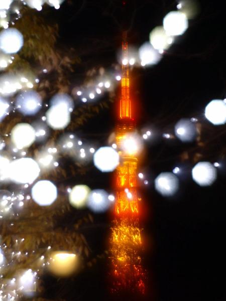 h201206168.jpg