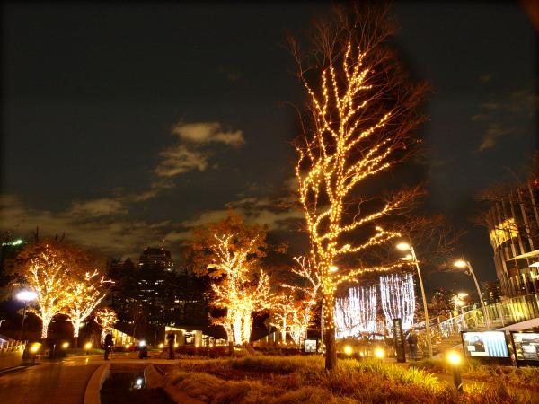 h201206199.jpg