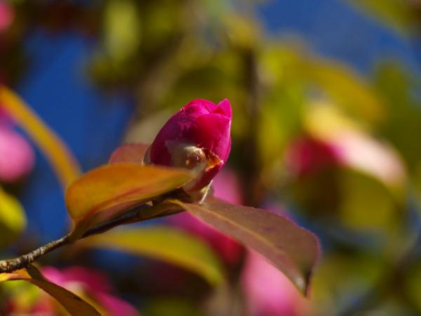 h210103011.jpg