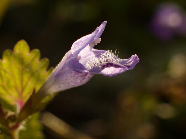 h210502009.jpg