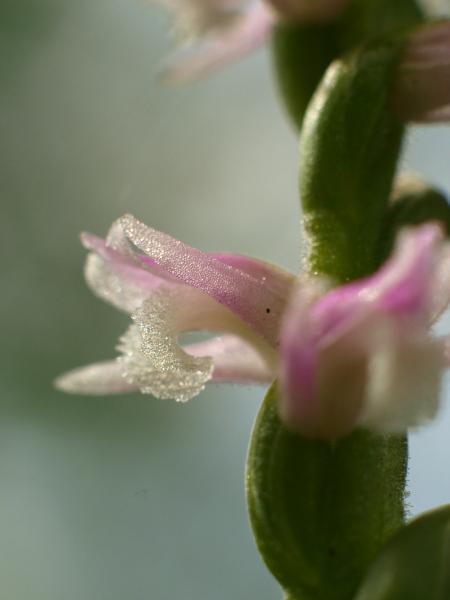 h210606218.jpg