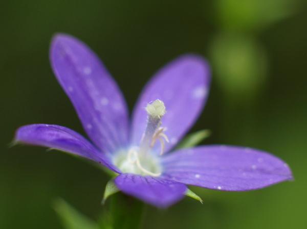 h210606261.jpg