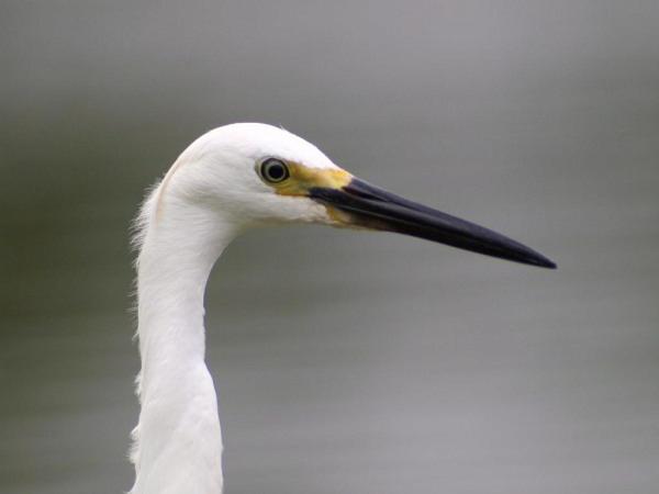 h210711100.jpg