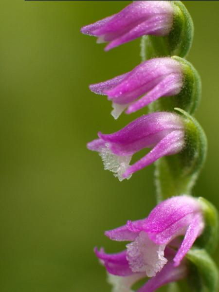 h210801198.jpg