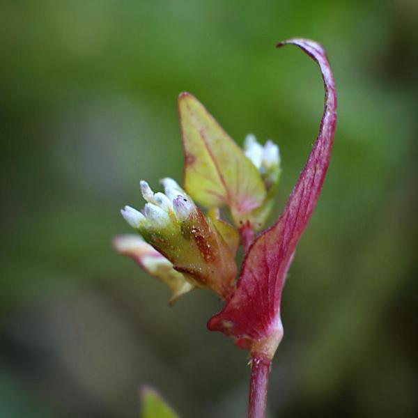 h210921156a.jpg