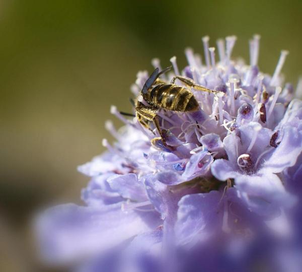 h210921180a.jpg