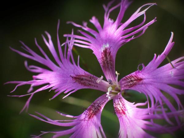 h210921182a.jpg