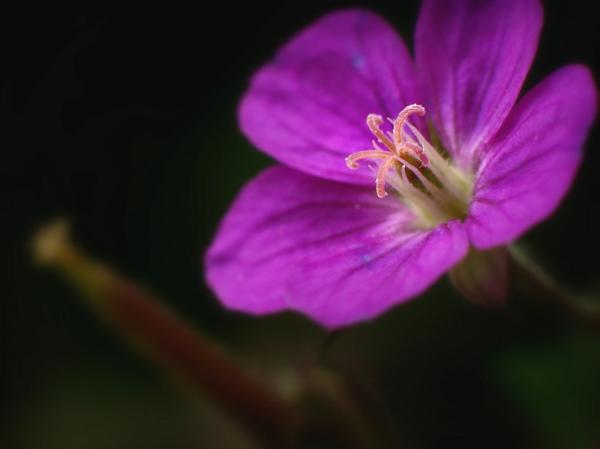 h210926040a.jpg