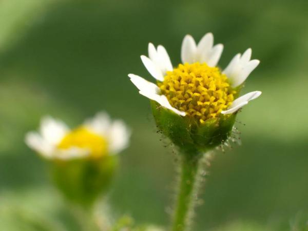 h211001091a.jpg