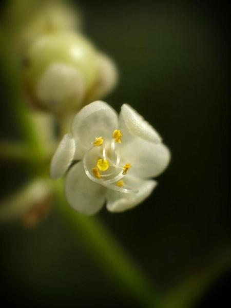 h211001143a.jpg