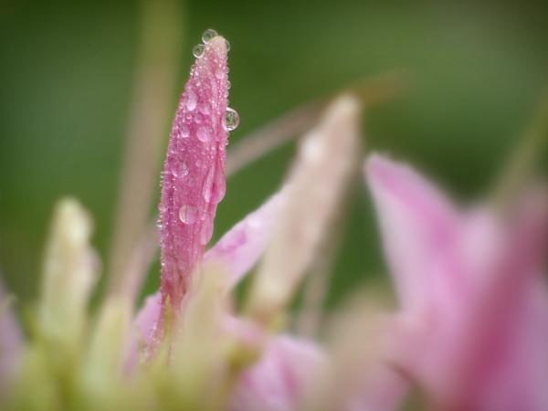 h211010039b.jpg