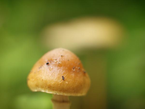 h211010090a.jpg