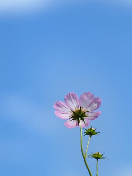 h211010145a.jpg