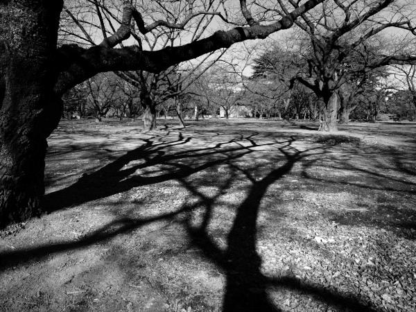 h22011600a.jpg