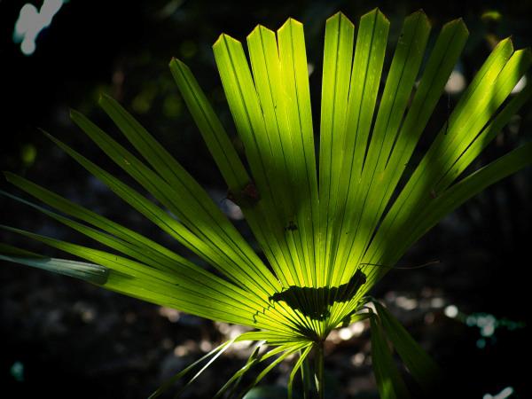 h220116043a.jpg
