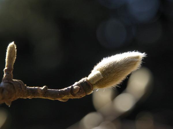 h220116128a.jpg