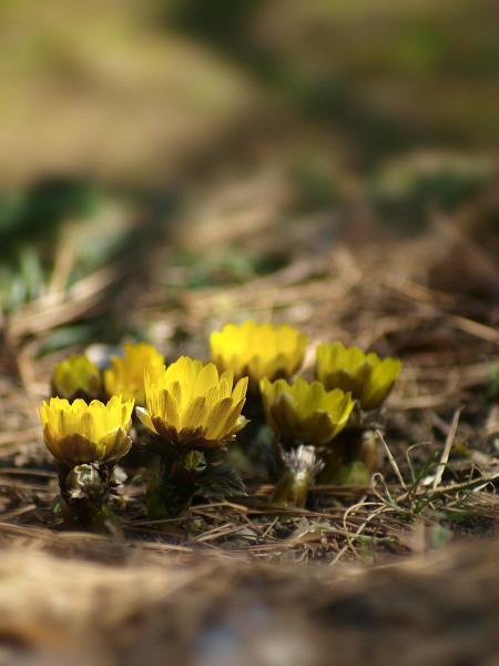 h220130066a.jpg