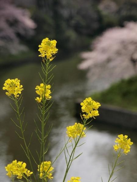 h220403020a.jpg