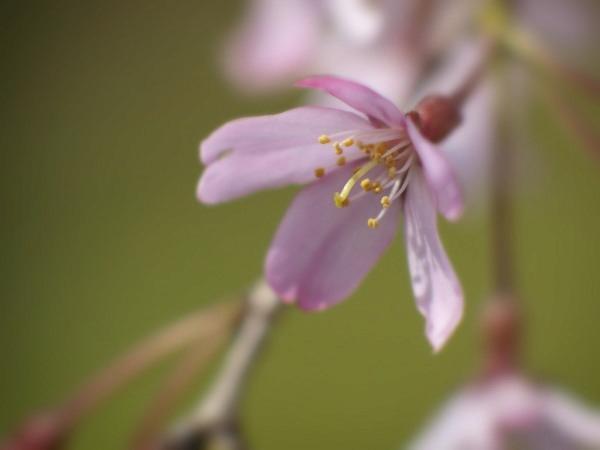 h220403080a.jpg